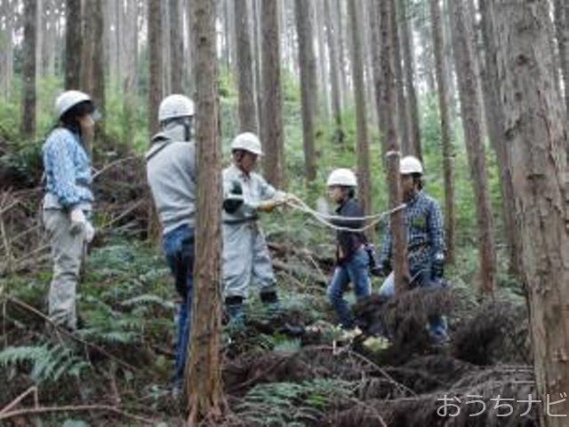 奥武蔵の里山で林業体験をしませんか？