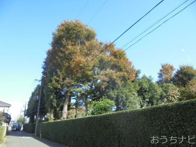 秋晴れとみのりの秋と西東京市富士町3丁目の新築住宅