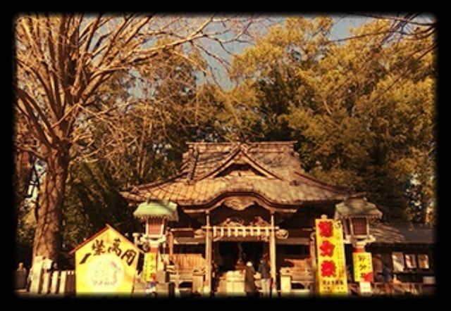 田無神社の節分祭、 ２月３日（土）午後１時から計４回行われます！
