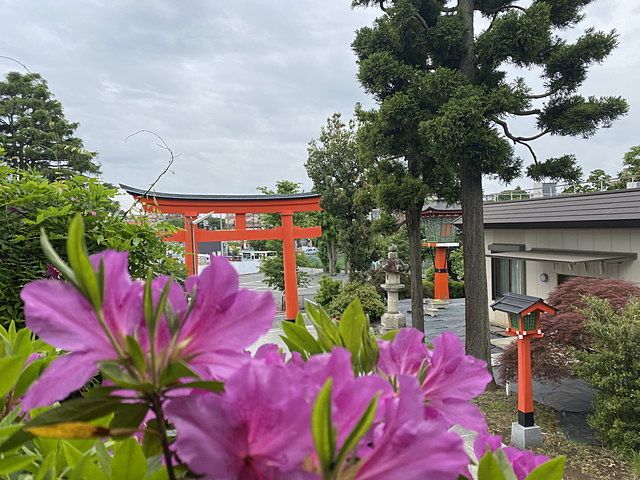東伏見稲荷神社に朔日詣り（2022..5.1）スプラッシュ