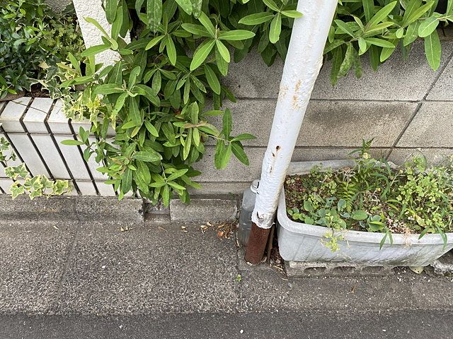 西東京市保谷町2丁目のスクールゾーンの標識（2022.7.3）スプラッシュ