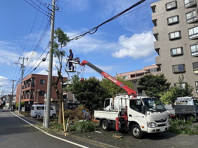 伐採のため高所作業をする様子・西東京市富士町4丁目（2022.8.29）スプラッシュ
