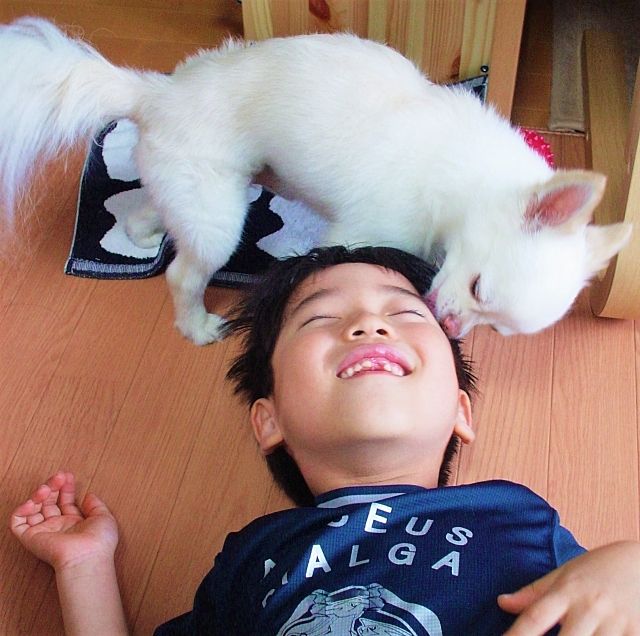 男の子を顔をペロペロ舐める犬（2022.9.19）スプラッシュ