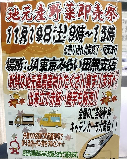 JA東京みらい田無支店「地元産野菜即売祭」のチラシ（2022.11.15）スプラッシュ