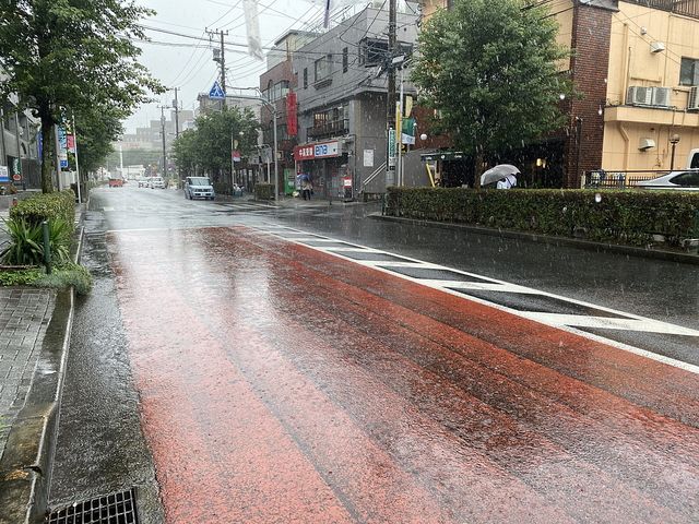 朝から雨が降るかえで通りの様子（2020.7.6）