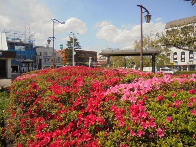 お花がいっぱい東伏見駅北口ロータリー