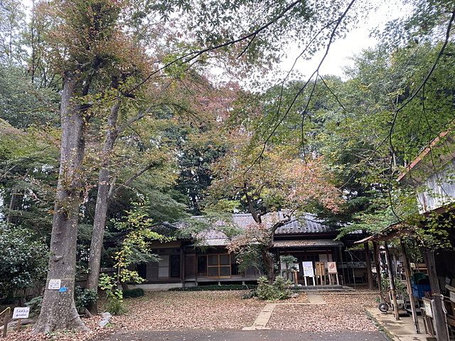 紅葉を楽しむ会『旧高橋家屋敷林』