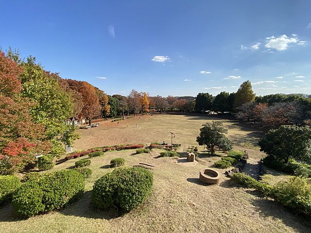 文理台公園(11.15)スプラッシュ