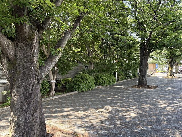 あらやしき公園東側の道路(5.18)スプラッシュ