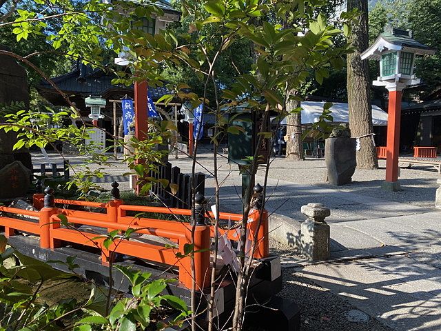 田無神社・スプラッシュ