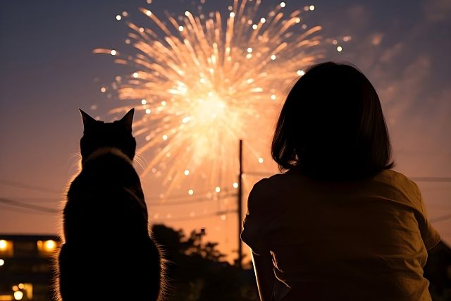 東町商栄会夏祭り 2026 花火は19：30！