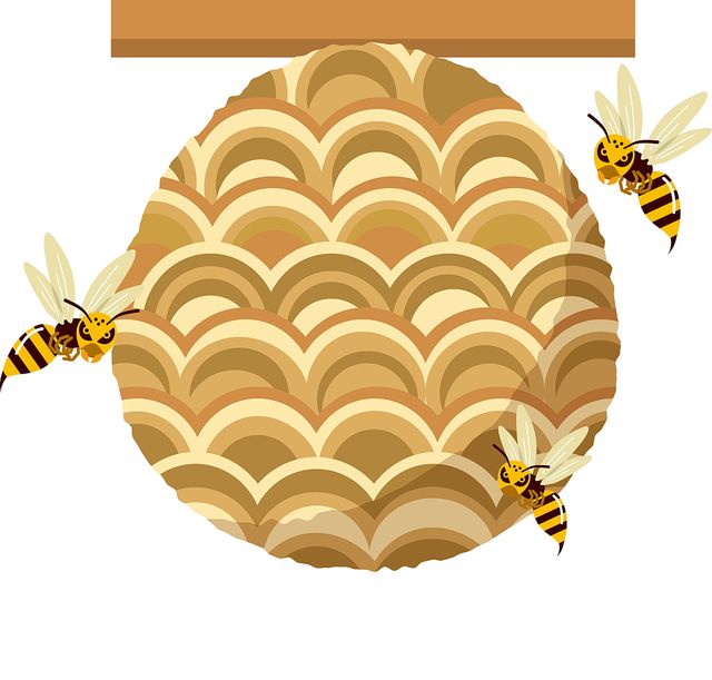 スズメバチの巣駆除作業補助制度