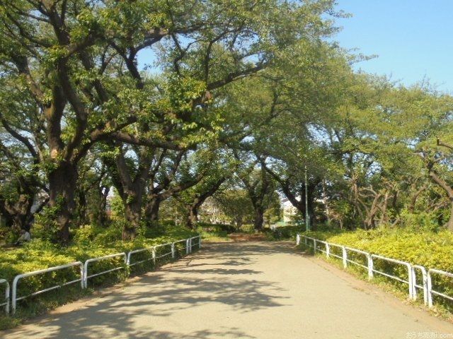 西東京市東町一丁目4番地、市立明保中学校の北側に位置する公園です。