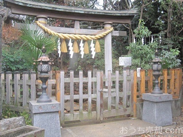 江古田の浅間神社の例大祭！江古田の富士塚登山しませんか？　 