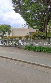 西東京市立上向台小学校 距離120m 西東京市向台町6丁目売地