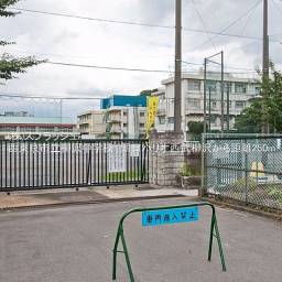 西東京市立柳沢中学校 距離250m