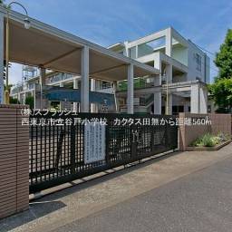西東京市立谷戸小学校 距離560m