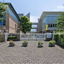 西東京市立けやき小学校 距離800m