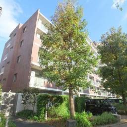 パークウエスト東京イーストブロックC棟 1404号室 西東京市立上向台小学校学区域